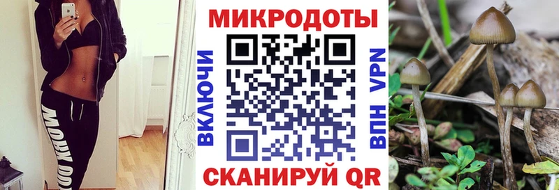 Псилоцибиновые грибы MAGIC MUSHROOMS  Безенчук 