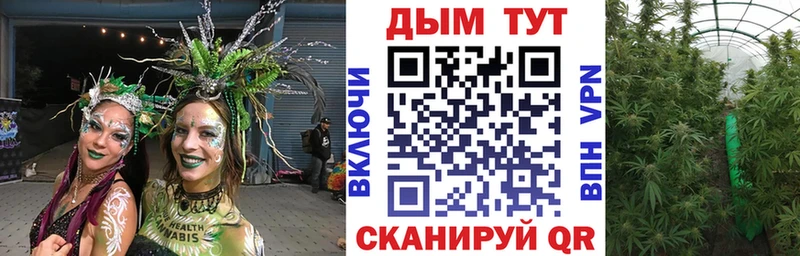 Шишки марихуана сатива  Безенчук 